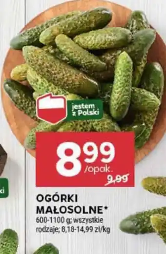 Stokrotka Market Ogórki Polski oferta