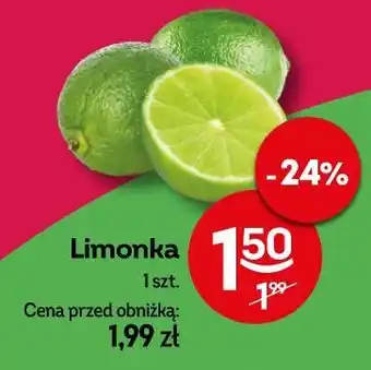 Żabka Limonka oferta