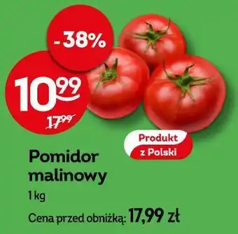 Żabka Pomidor malinowy oferta