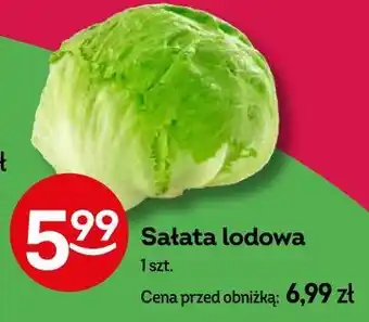 Żabka Sałata lodowa oferta