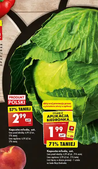 Biedronka Kapusta młoda, szt. oferta
