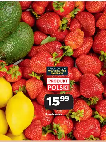 Netto Truskawka oferta