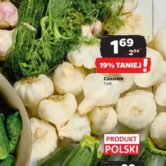 Netto Czosnek oferta