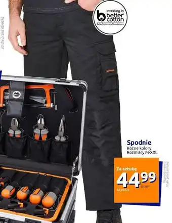Action Spodnie oferta