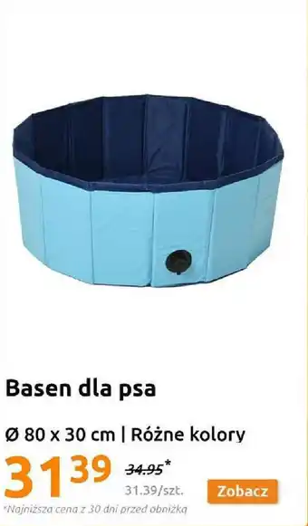 Action Basen dla psa oferta