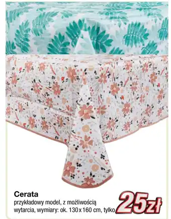Cerata Ok