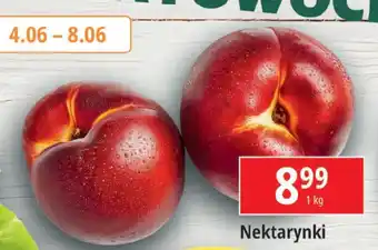 E.Leclerc Nektarynki 1 kg oferta