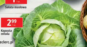 E.Leclerc Kapusta młoda oferta