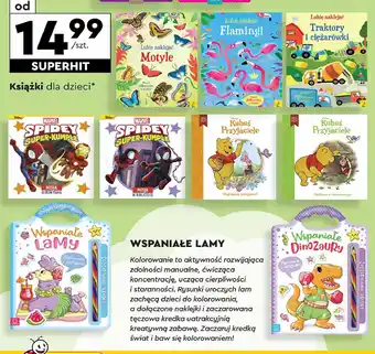 Biedronka Kubuś i przyjaciele oferta