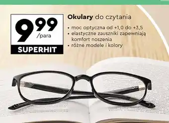 Biedronka Okulary do czytania +1.0 - +3.5 oferta