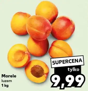 Kaufland Morele luzem 1 kg oferta