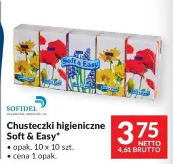 Chusteczki higieniczne Soft & Easy 10x10szt.