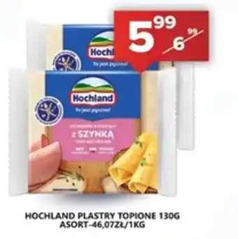 Spiżarnia Smakosza HOCHLAND PLASTRY TOPIONE 130G oferta