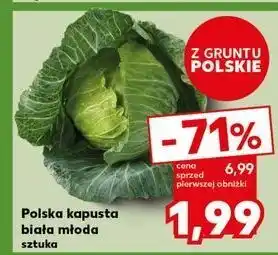 Kaufland Kapusta biała młoda oferta