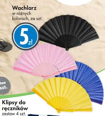 Tedi Wachlarz oferta