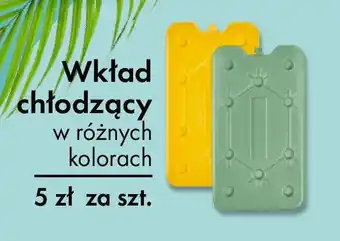 Tedi Wkład chłodzący oferta