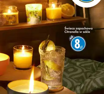 Świeca zapachowa Citronella w szkle