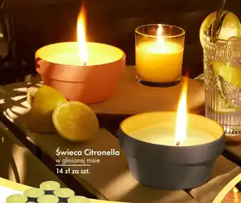 Świeca Citronella