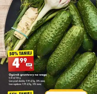 Biedronka Ogórek gruntowy 1kg oferta