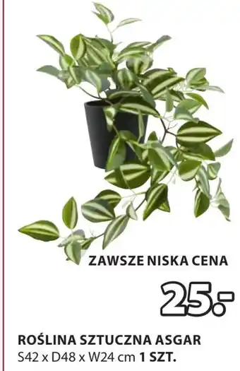 JYSK Sztuczna roślina oferta