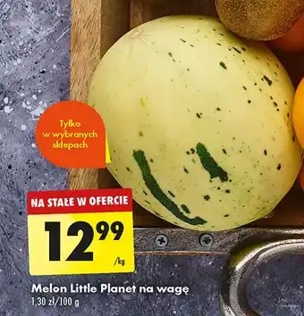 Biedronka Melon oferta
