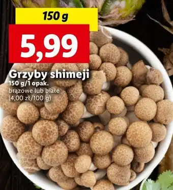 Lidl Grzyby shimeji oferta