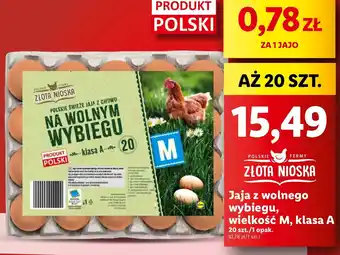 Lidl Jaja kl. m z wolnego wybiegu Złota Nioska oferta