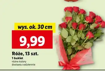 Lidl Róże 30 cm oferta