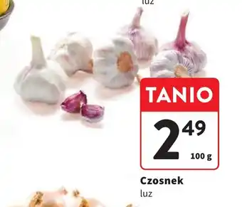 Intermarche Czosnek luz 100 g oferta