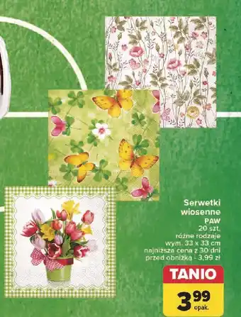 Carrefour Serwetki Paw oferta