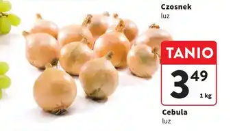 Intermarche Cebula 1 kg oferta