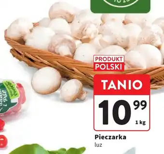 Intermarche Pieczarka luz 1 kg oferta