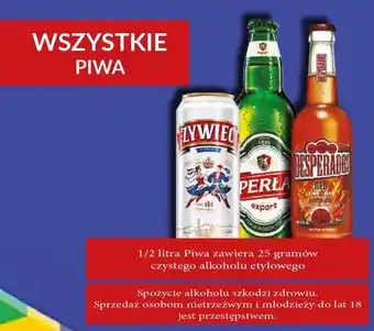 E.Leclerc Piwo Żywiec Jasne Pełne oferta