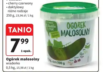Intermarche Ogórek małosolny 0,5 kg oferta