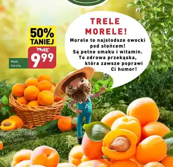 ALDI Morele oferta