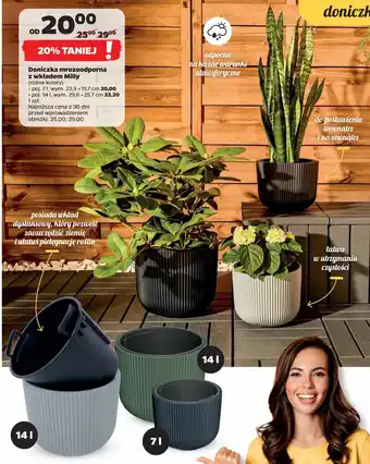 Netto Doniczka mrozoodporna z wkładem milly 7 l oferta