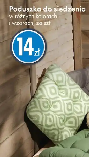 Tedi Poduszka oferta