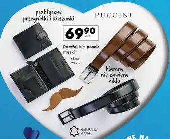 Biedronka Pasek męski Puccini oferta