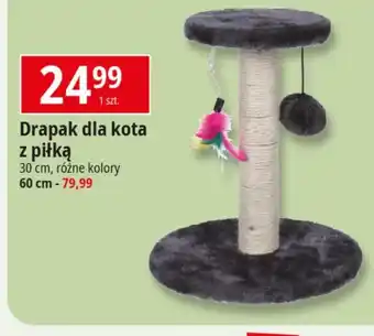 E.Leclerc Drapak dla kota oferta