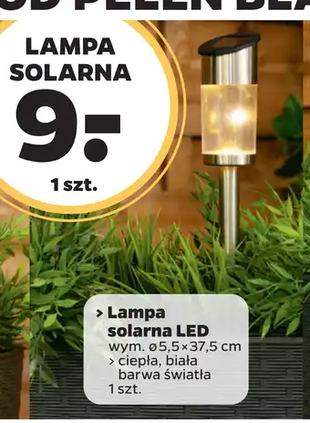 Netto LAMPA SOLARNA oferta