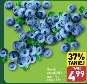 ALDI Borówki amerykańskie oferta