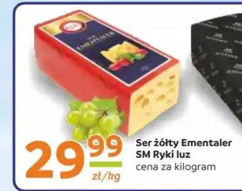 Gama Ser SM Ryki oferta