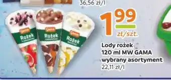 Gama Lody Gama oferta