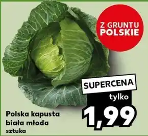 Kaufland Kapusta młoda oferta