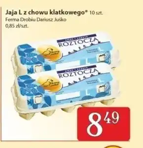 Społem Jaja oferta