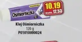 AT Klej Ośmiorniczka oferta