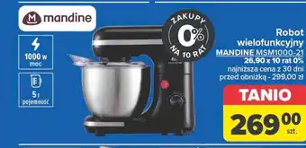 Carrefour Robot wielofunkcyjny Mandine oferta