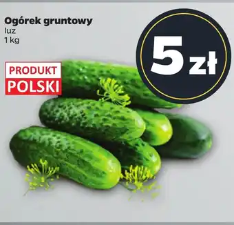 Netto Ogórek Polski oferta