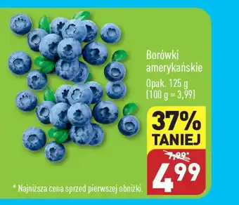 ALDI Borówki amerykańskie 125 g oferta