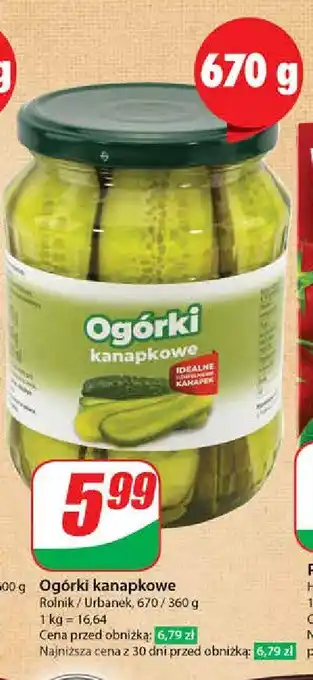 Dino Ogórki kanapkowe oferta